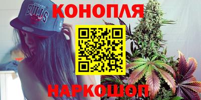 бошки Ставрополь