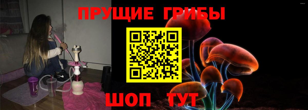 Псилоцибиновые грибы мицелий Октябрьский